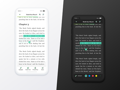 Mojoreads Reader books comment dark mode dark theme highlight interaction interactive light theme navigation read reader search
