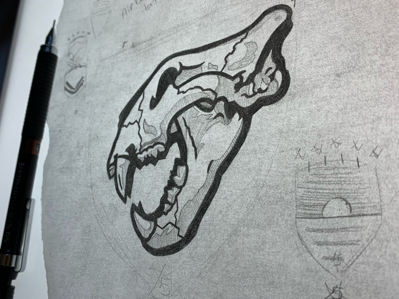 tiger skull drawing