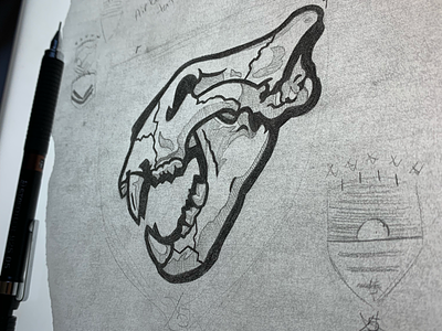 Tiger Skull Sketch