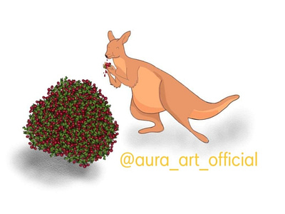 Kangaroo Eating From a Berry Bush