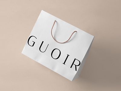 Lıngerie Brand Shopping Bag basic branding design designer graphic logo style type typography vector