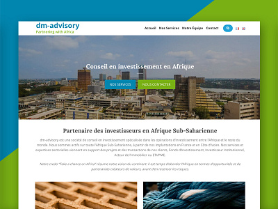 Dm-Advisory africa brocker estate partnership ui ux website