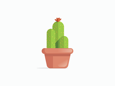 Potted Cactus