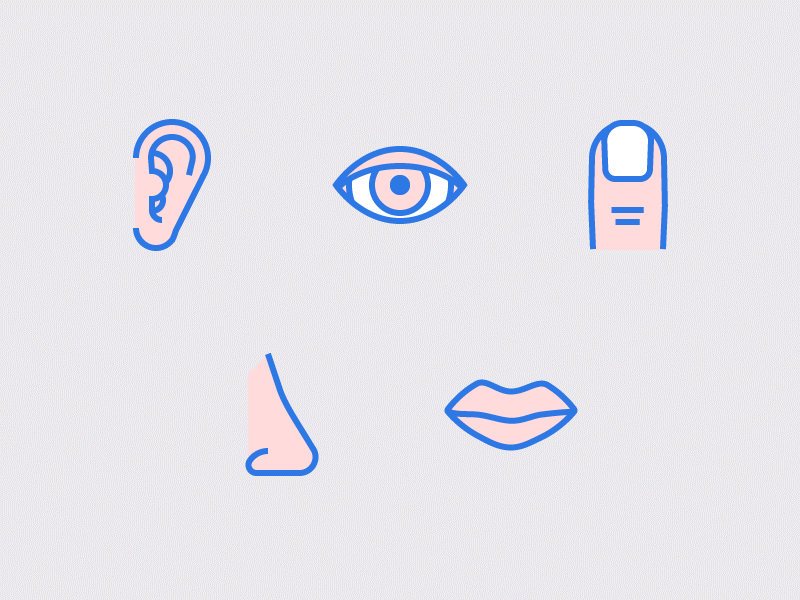 Five Senses Icon Set ear eye finger hear icons mouth nose see set smell taste touch