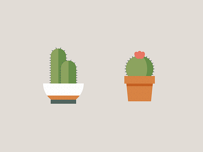 More Potted Plants