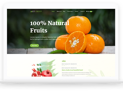 ET Fruit – Free Responsive Organic Food WordPress Theme free web template free website template free wordpress theme theme for wordpress web template website template wordpress wordpress theme