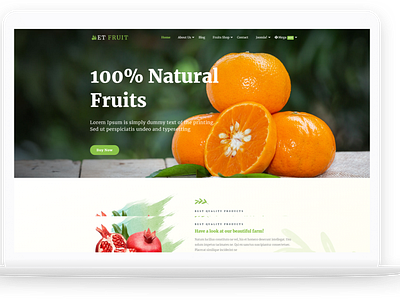 ET Fruit – Free Responsive Organic Food Joomla! template