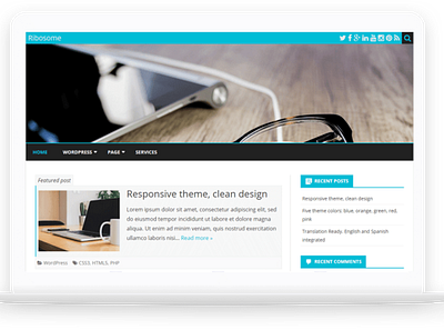 Ribosome-Free WordPress Theme wordpress