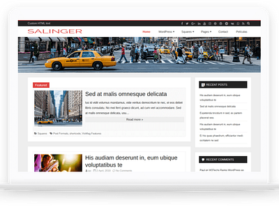 Salinger-Free WordPress Theme wordpress