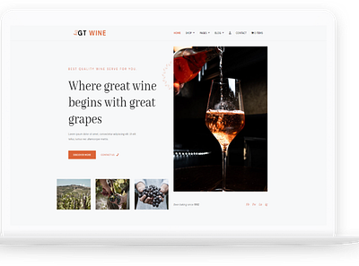 GT WINE - Free WordPress Theme wordpress