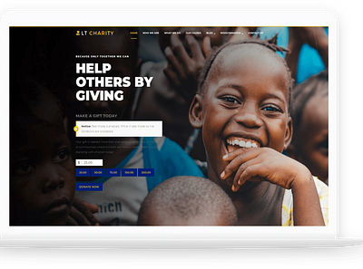LT Charity - Free Voluntary Organization WordPress Theme wordpress