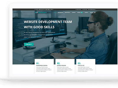 LT Web Design - Free Web Development WordPress Theme