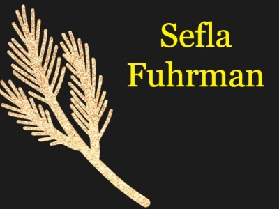 Sefla Fuhrman | Forks, Washington adjunct professor branding creating opportunities higher education sefla fuhrman social justice