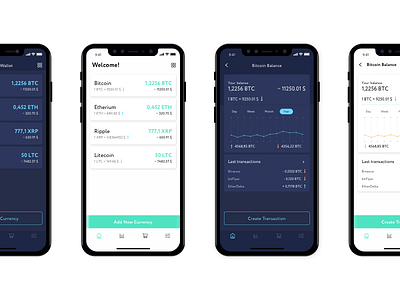 Crypto Wallet Concept