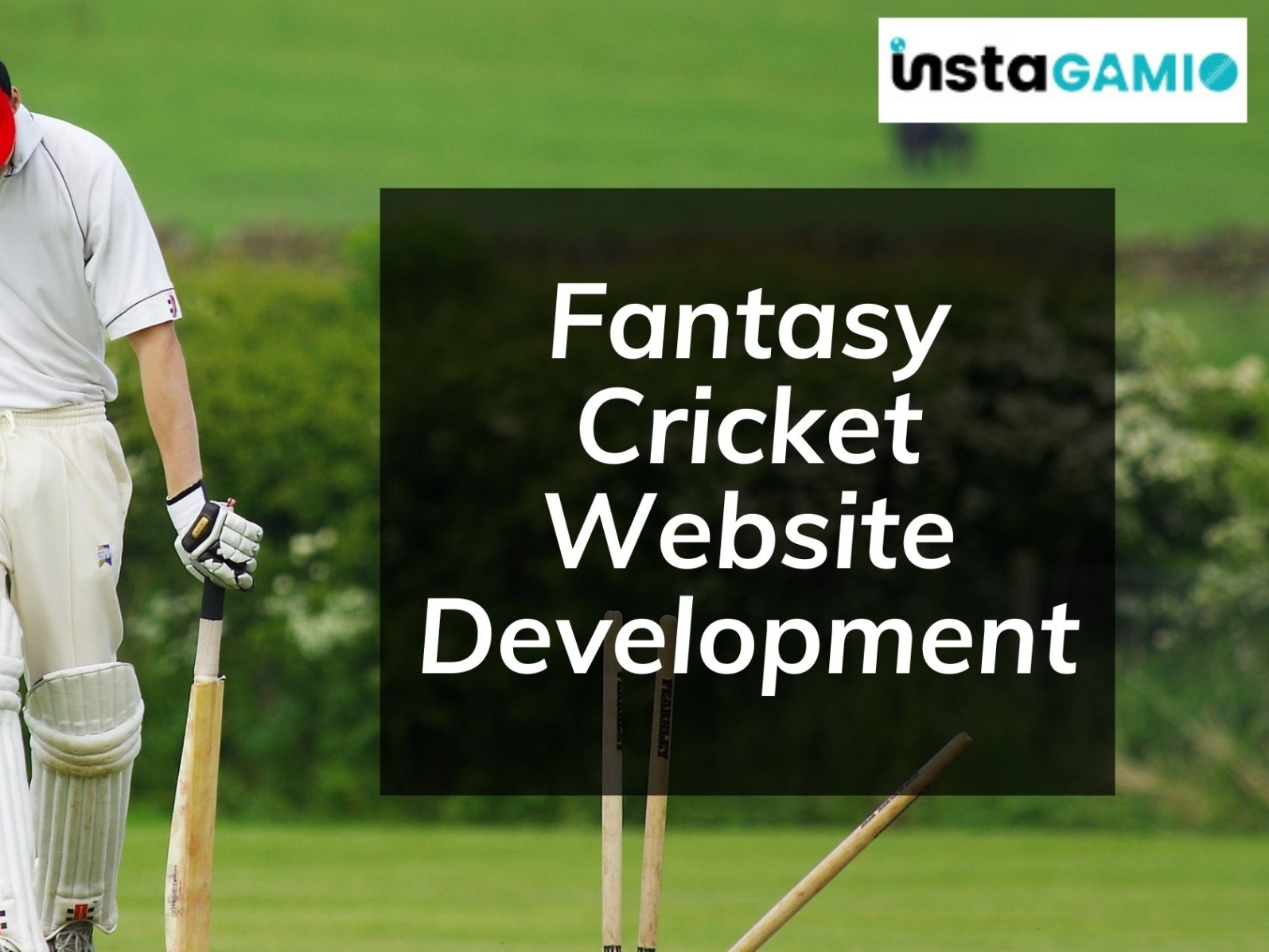 Fantasy Cricket Website Development by Sara Martin on Dribbble