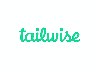 Tailwise - custom logotype branding custom logotype hand lettering identity lettering logo logotype type typography visual identity wordmark