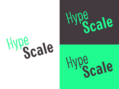 Hype Scale | Week 4 branding brandom challenge design graphic hype scale identity logo logo design typehue