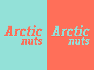 Arctic Nuts | Week 7 arctic nuts branding brandom challenge design graphic identity logo logo design typehue