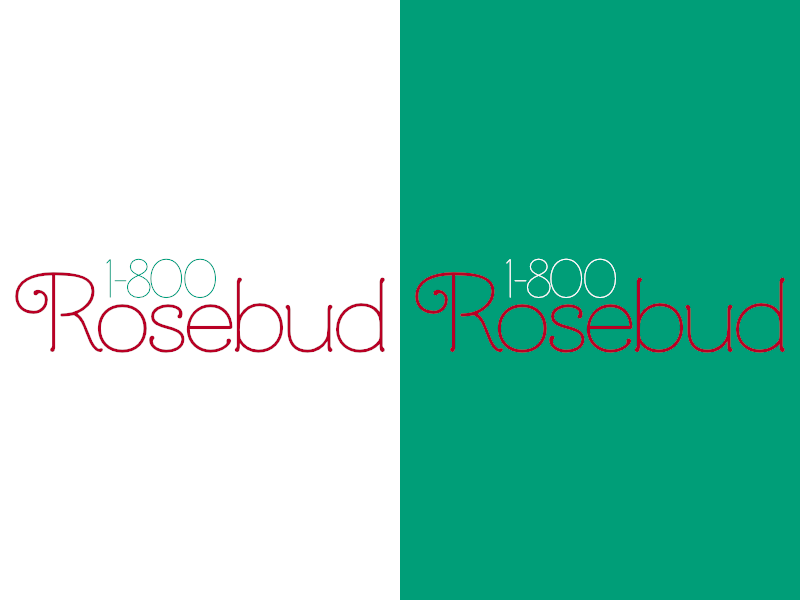 1800Rosebud Day 6 by Ian Cox on Dribbble