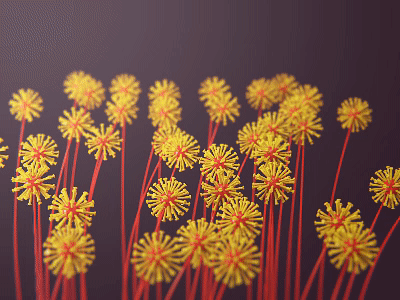 Hello Dandelions! animation c4d dandelions motion design redshift