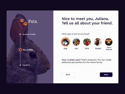 Pets Register branding design logo pet pets ui ux web