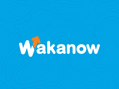 Wakanow branding design ui ux wakanow web