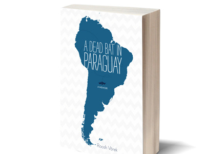 A Dead Bat in Paraguay book book cover book cover design