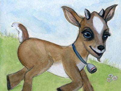 Alfie The Goat, A Barnyard Portrait animal illustration baby goat goat kid art watercolor painting