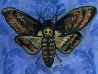 A Victorian Deaths-Head deaths head moth illustration moth victorian watercolor