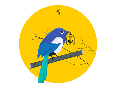 Bird watching design graphic design illustration
