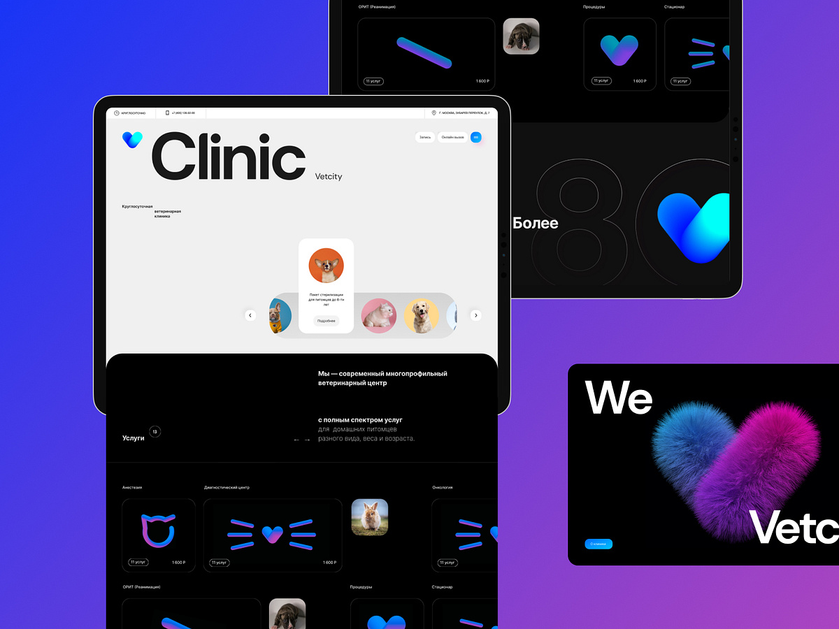 Vetcity. Draft version. by Kirill Kim on Dribbble