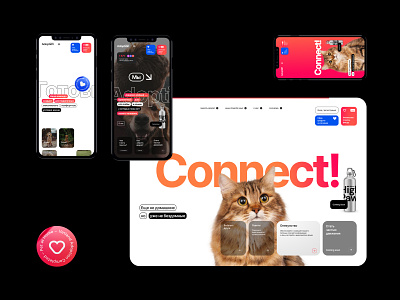 Vet.land adoption animals cat design dog fullscreen interface logo pet site ui ux web