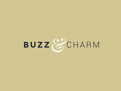 Buzz & Charm ampersand deck montserrat pitch pitch deck playfair roboto typography
