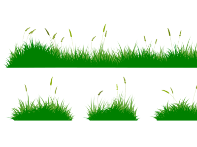 green grass vector garden grass green grass reeds grass wild grass