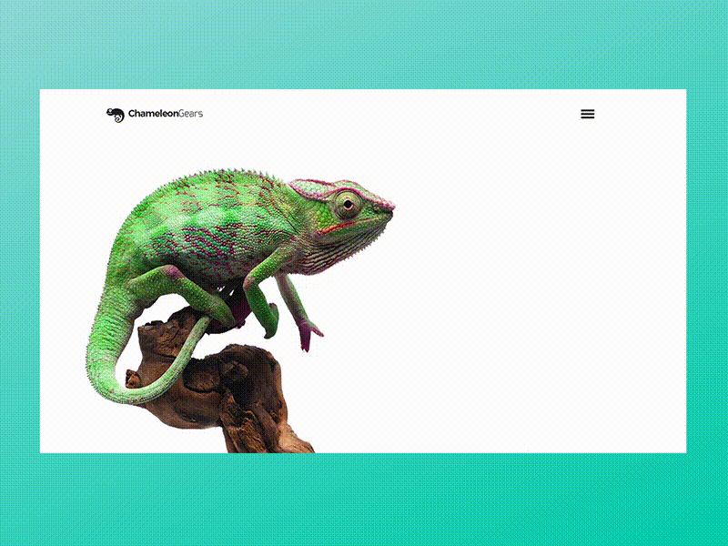Chameleon gear new
