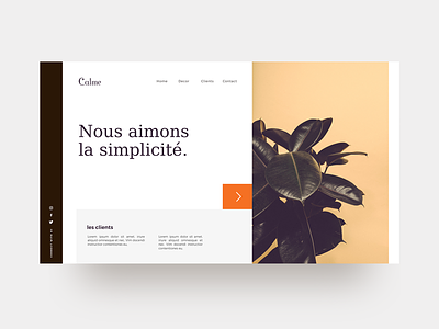 Calme : Free Web UI Concept. design freebie interface kit minimal sketch ui uiux webdesign