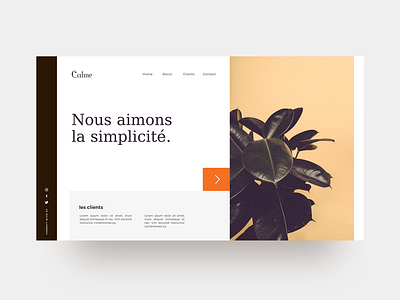 Calme : Free Web UI Concept.