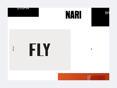 NARI project hover detail animation damn fine ui ux web