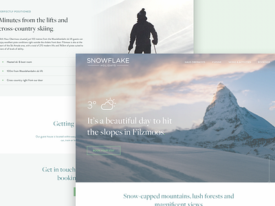 Winter Design Refresh hospitality hotel ski snow snowflake web winter