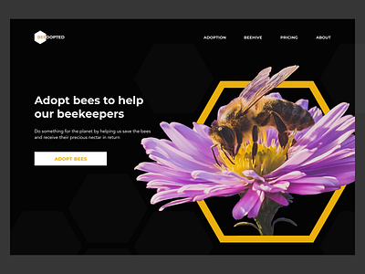 Beedopted - Hives and bees sponsorship bee beehive beekeepers bees black concept design hive hives landing page sponsorship ui visual design web site webdesign