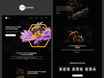 Hives and bees sponsorship landing page