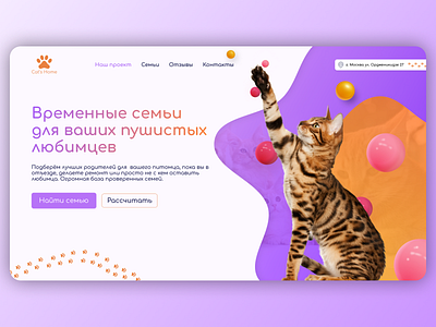 Concept hero-screen for animal shelter website animals cats concept design dogs family figma heroscreen kids landing orange shelter ui ux violet yellow