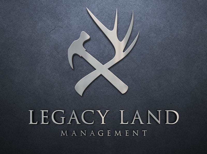 Legacy Land Logo design by MD Bodiuzzaman on Dribbble