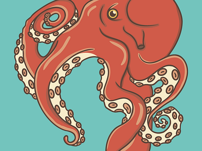 Octopus design drawing illustration illustrator octopus sketch vector