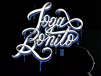 Lettering: Joga Bonito design lettering procreate type typography