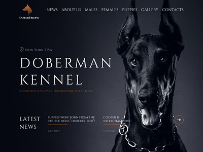 Doberman Kennel website