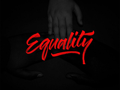 Equality brush brush pen calligraphy equality font hand lettering logo pride type typography vector