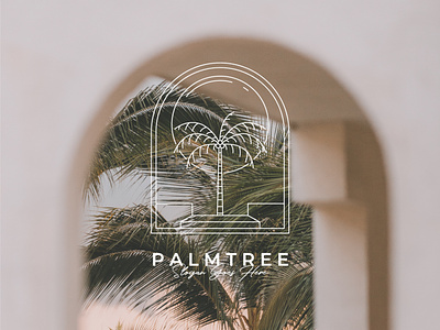 coconut or palm tree logo presentation and mockup