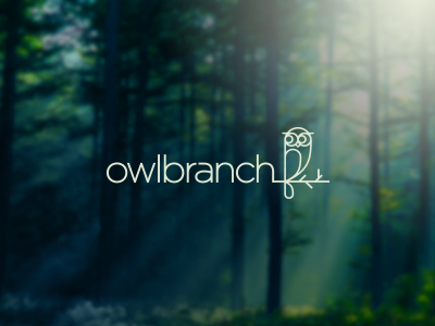 Owlbranch Logo Design owl logo forest animal nature branch kids design education bird children minimal