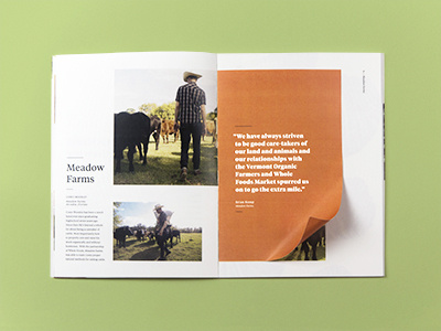 Layout layout magazine photo photography print typography